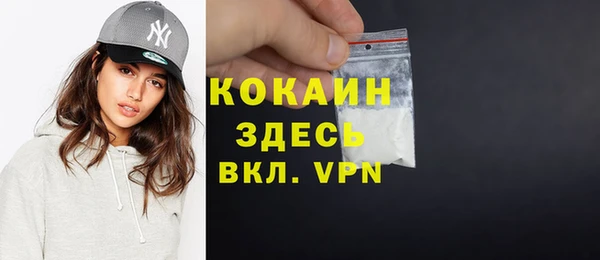 МДПВ Инта