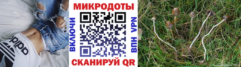 Псилоцибиновые грибы мухоморы  Купить  Динская 